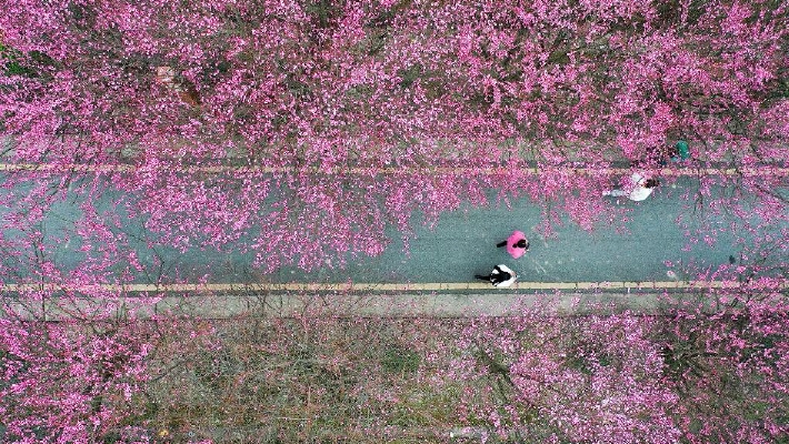 新闻中心首页 新浪网