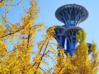 奥林匹克森林公园秋色渐浓迎最佳观赏期