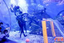 “海底运动会”