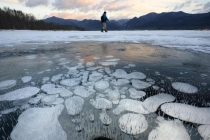 “冰冻气泡”奇观