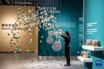 “种子博物馆”