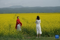 青：畔夏日风光