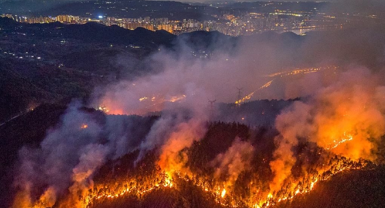 重庆多地发生山火
