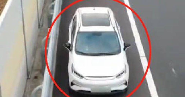 有人在应急车道停车炒股