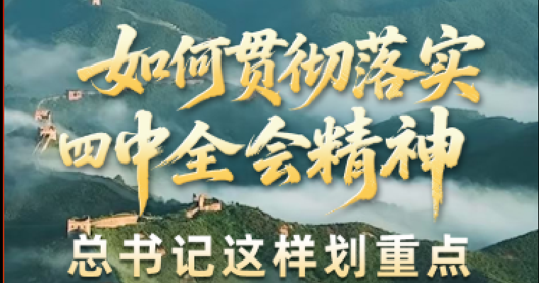 壹视界·微视频丨如何贯彻落实四中全会精神？总书记这样划重点