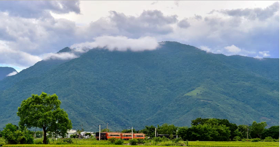 台湾迎史上最诡异选举：为何蔡英文自己都不相