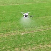 晚播麦吃上“营养餐”山东精细化田管助小麦“强筋健骨”