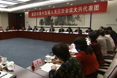 陈吉宁参加大兴团审议：打造首都发展新的增长空间