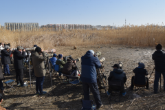 琉璃河畔，这位观鸟者有点怪！“不打扰就是最好的保护”