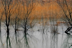 永定河北京段今年春季生态补水启动，力争实现全年全线有水