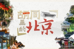 还在墙外拍照？鼓楼里《时间的故事》展更值得打卡！还有神秘嘉宾