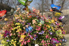 清明不止祭扫，还有这些民俗值得我们去体验→