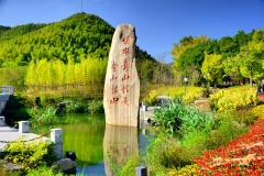 以学铸魂，坚定理想信念——推动主题教育取得实实在在的成效