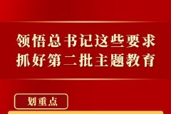 领悟总书记这些要求，抓好第二批主题教育