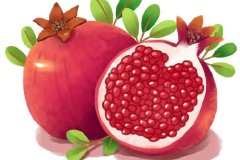 【学思想 强党性 重实践 建新功】石榴籽家园：让各族群众全面交流广泛交往深度交融