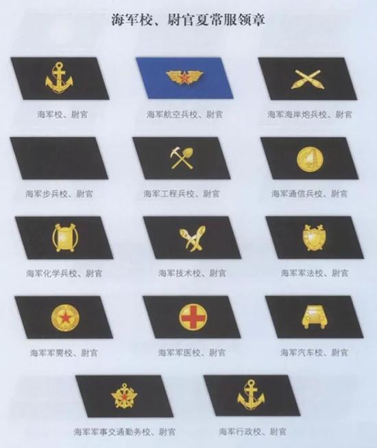 中国海军肩章军衔图解图片