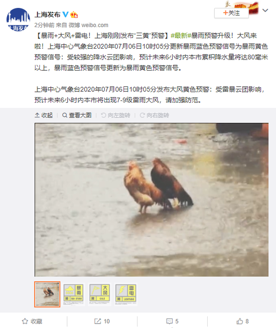 预警 上海暴雨来袭 发布“三黄”预警