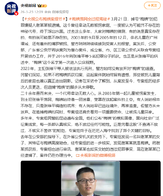 央视公布梅姨案细节