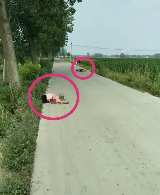 河南发生抢小孩杀家长案警方男子刺死儿媳之母