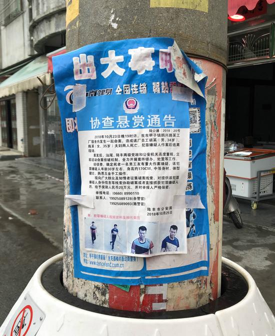 在陆丰市，每隔几百米就能看见通缉覃志钢的悬赏令。新京报记者王翀鹏程 摄