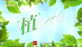 美丽中国我先行｜“植”此青绿