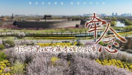 时政微纪录片｜牵念