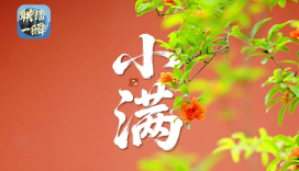 小满未满 自在安然