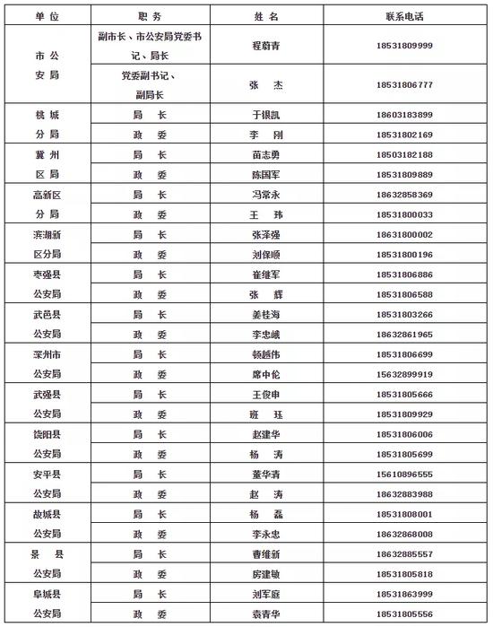 经贸摩擦难挡美企青睐中国市场