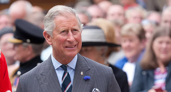 哈里王子和梅根大婚后靠啥挣钱?媒体:他们不差钱|梅根|哈里王子|哈里_