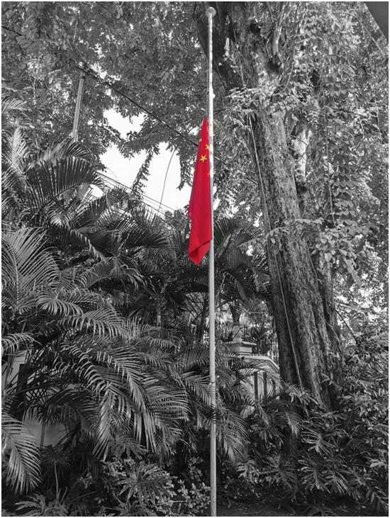 中国驻外使领馆降半旗,深切悼念抗疫烈士