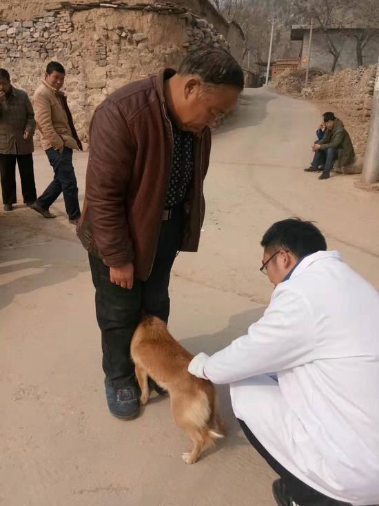 事发村庄16条狗被扑杀，60条狗被注射狂犬疫苗。 受访者供图