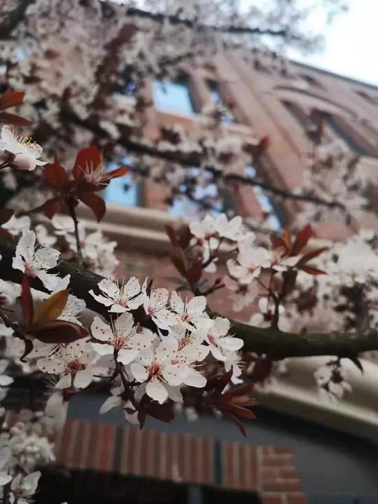 浙江大学海宁国际校区 张燕青/摄