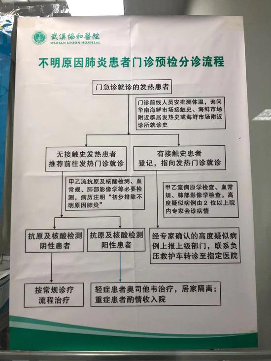 武汉协和医院发热门诊前贴出的分诊流程。新京报记者 向凯 摄