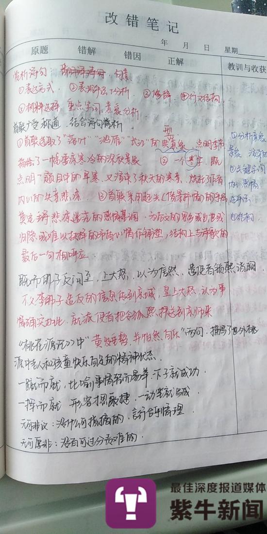 刘欣雨写得一手好字