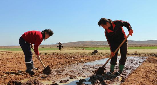 朝鲜黄海南道信川郡，农民正在准备种植玉米。粮食署图片