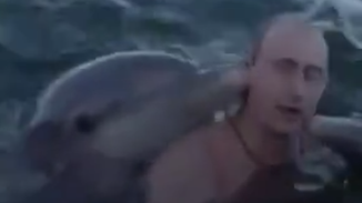 克里姆林宫发布早期视频：普京与海豚一起游泳