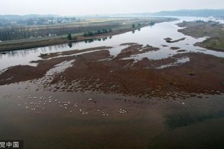 淠河湿地景色秀丽
