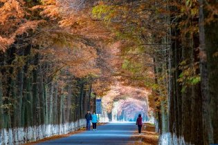 神州大地冬景如画