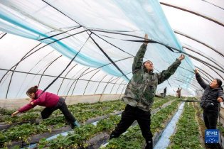 应对寒潮 保障供应