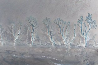 钱塘江潮汐树景观