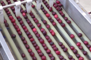 全国特产大摸底