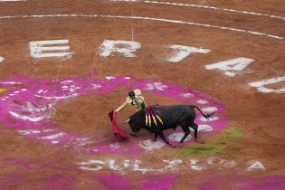 斗牛回归墨西哥城