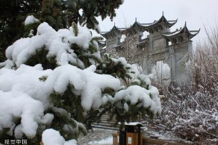 宁夏固原迎来春雪