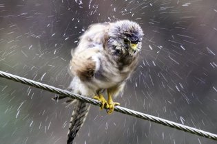 春雨绵绵润万物