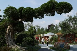  Chengdu International Horticultural Exposition Opens 