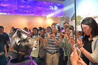  Yuanmingyuan Beast Head Cultural Relics Exhibition