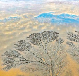 浙江海宁：霞光映潮树 天光落钱塘