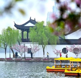 南京：莫愁湖畔桃红柳绿