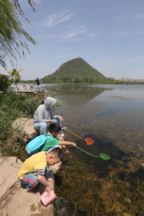 ▲5月22日，家长和小朋友在济南华山历史文化湿地公园捕鱼，而一旁的小朋友则把捕得鱼放生。图/IC photo