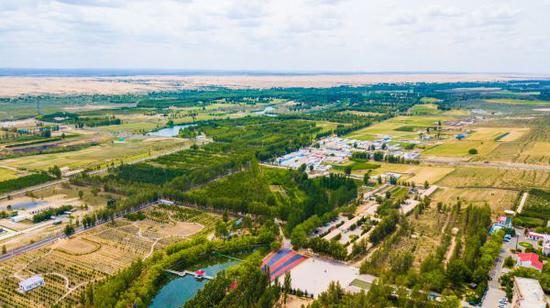 地处库布其沙漠的恩格贝景区(新华社)